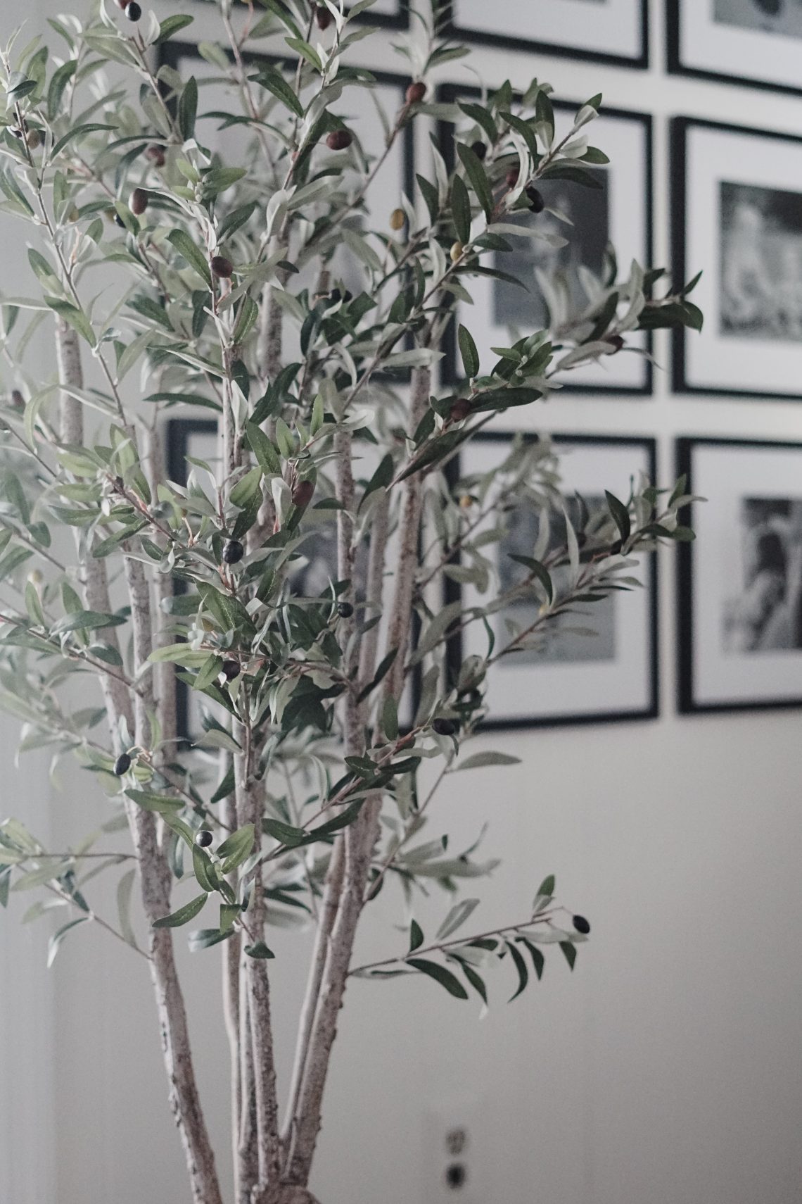 My Faux Olive Tree And Your Guide To Finding The Perfect Faux Tree Forrester Home 